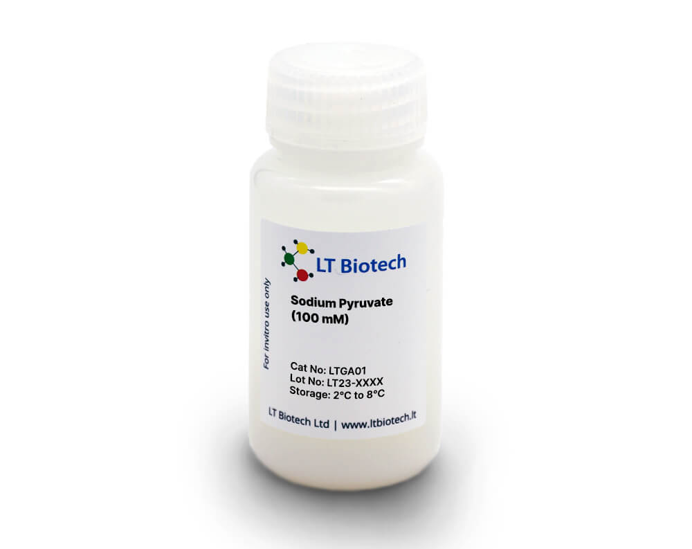 Sodium Pyruvate (100 mM)